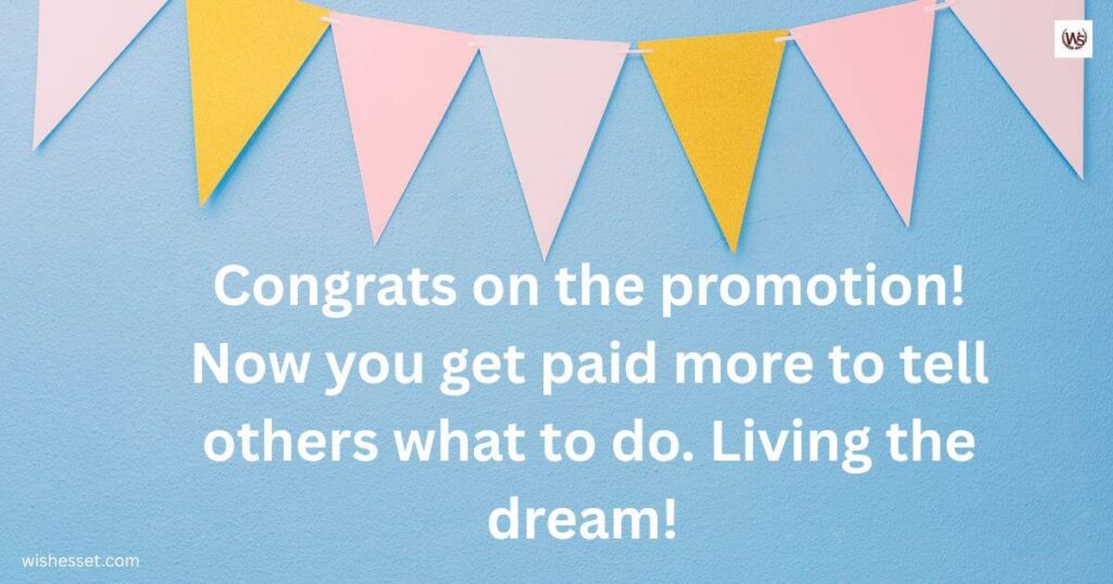 Funny Congratulations on Promotion Wishes