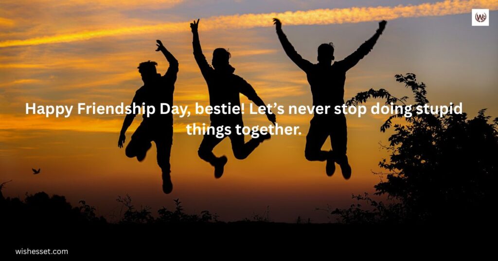 Funny Friendship Day Wishes