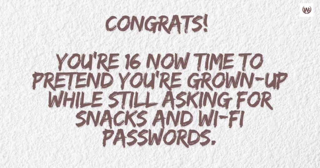 Funny Sweet 16 Birthday Wishes