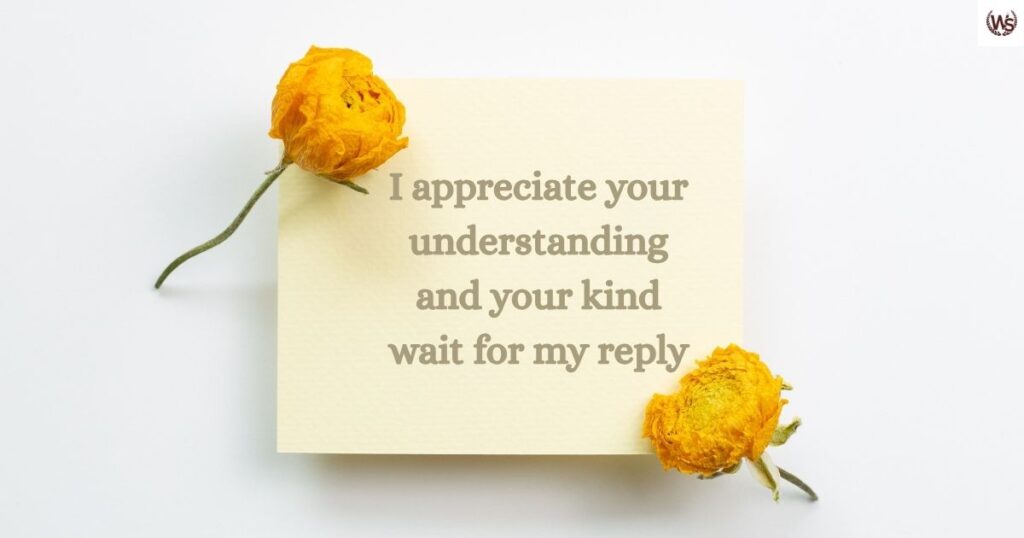 Formal Ways to Say “Thank You for Your Patience in Waiting for My Response”