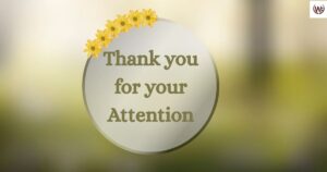 Thank you for your Attention