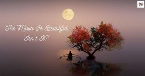 The Moon Is Beautiful